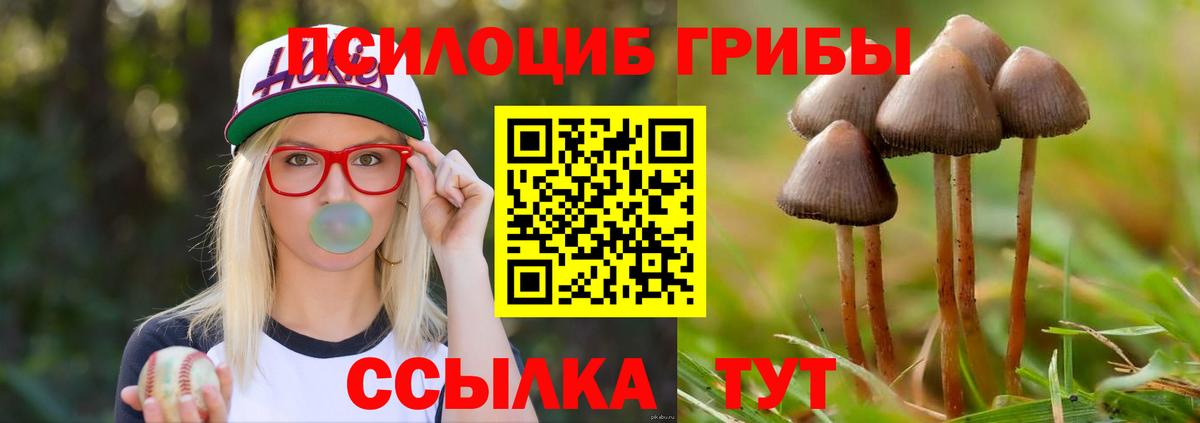Псилоцибиновые грибы Magic Shrooms Брянск